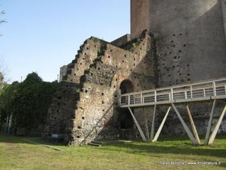 nastero Benedettini-16-03-2014 12-24-51